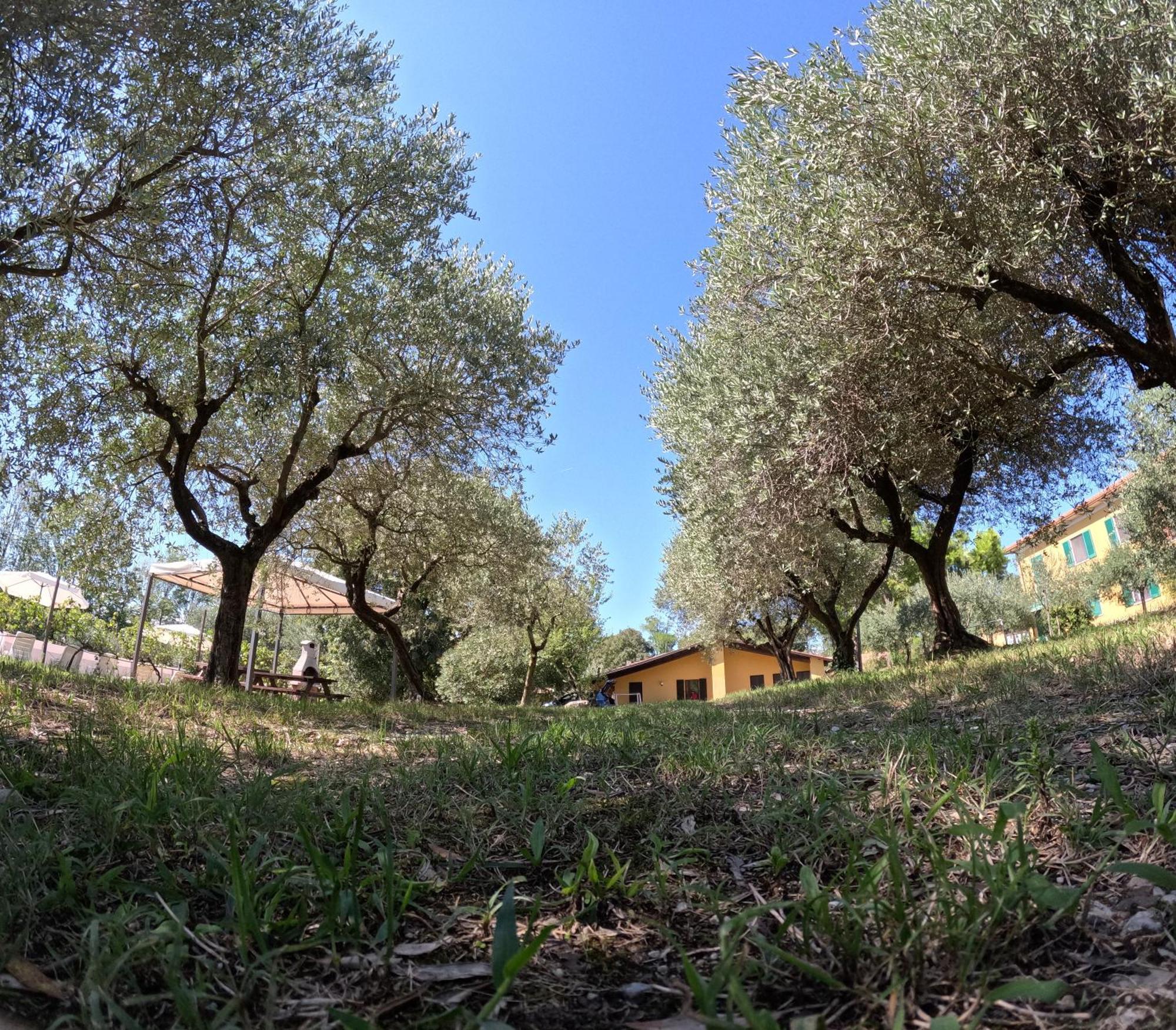 Agriturismo Gardenali Volta Mantovana Oda fotoğraf