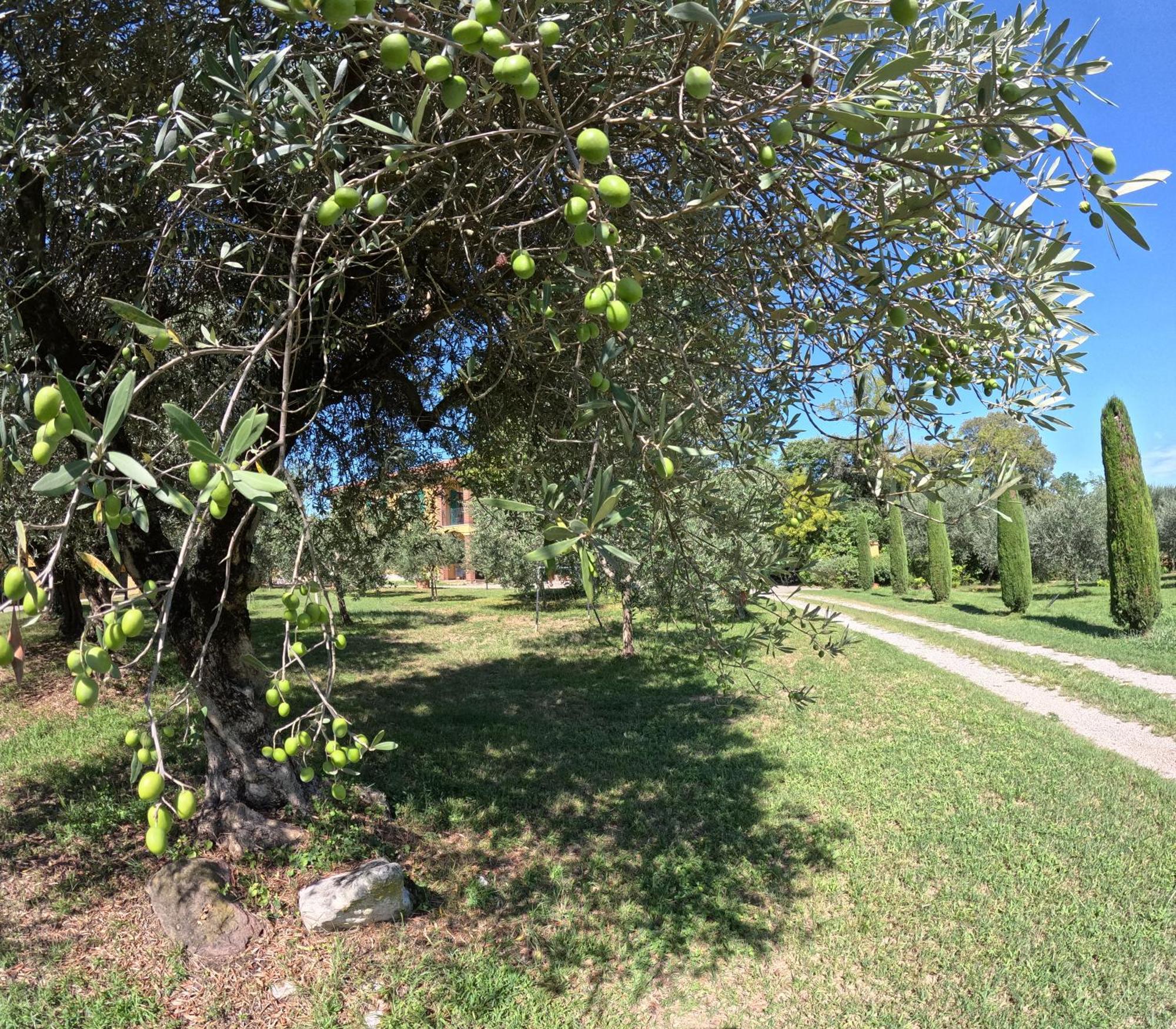 Agriturismo Gardenali Volta Mantovana Dış mekan fotoğraf