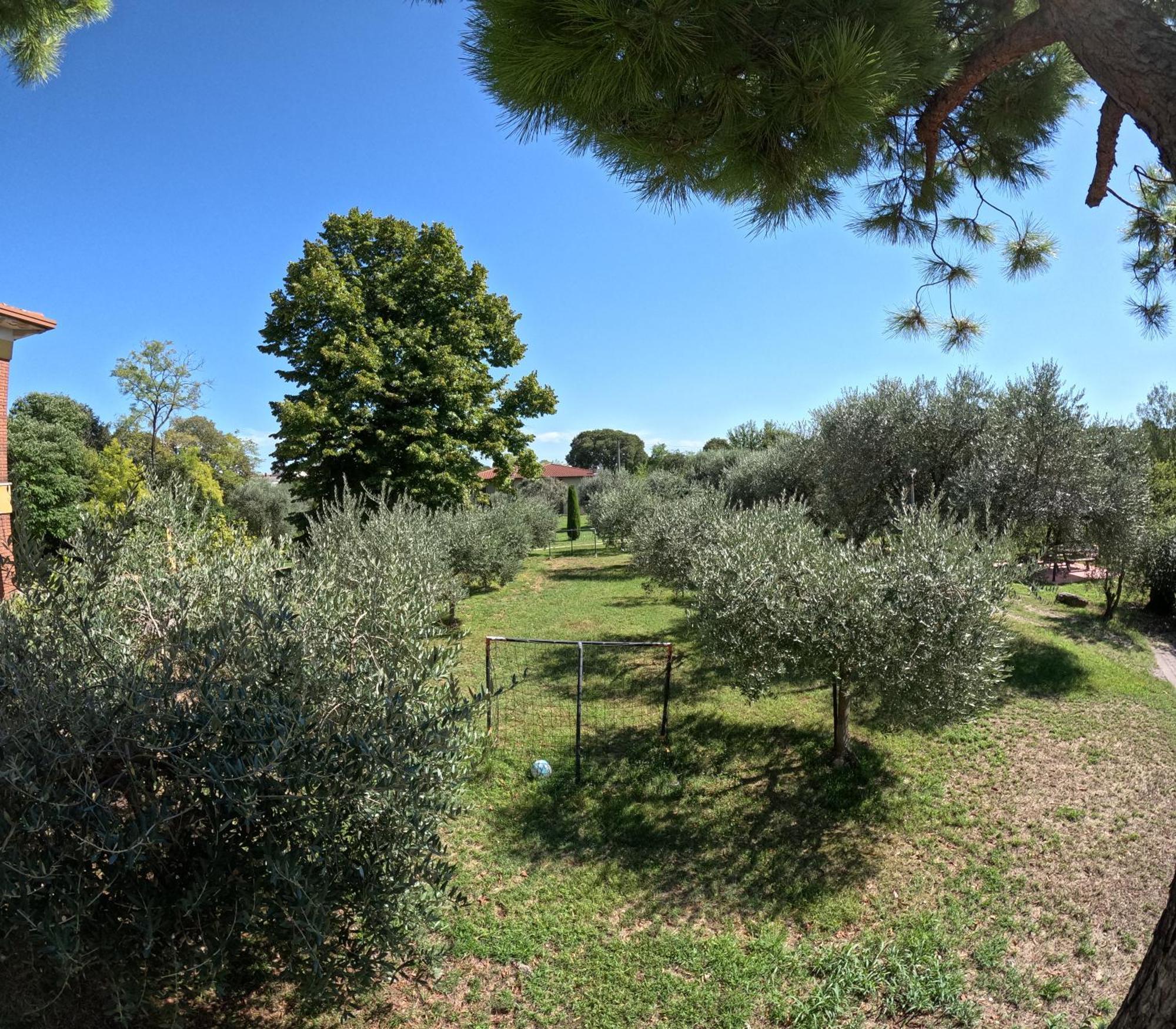 Agriturismo Gardenali Volta Mantovana Dış mekan fotoğraf