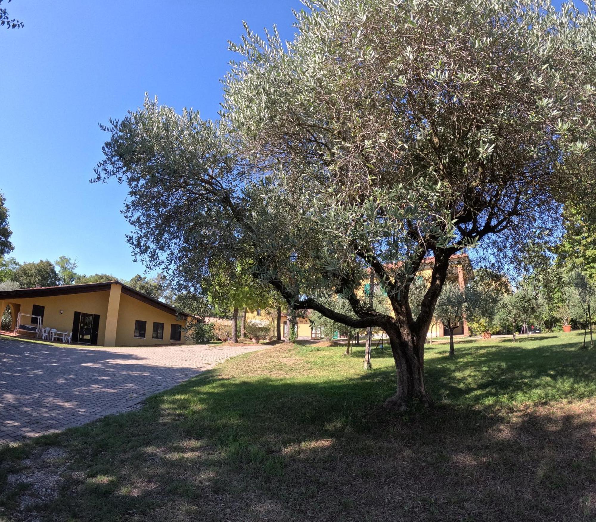 Agriturismo Gardenali Volta Mantovana Dış mekan fotoğraf