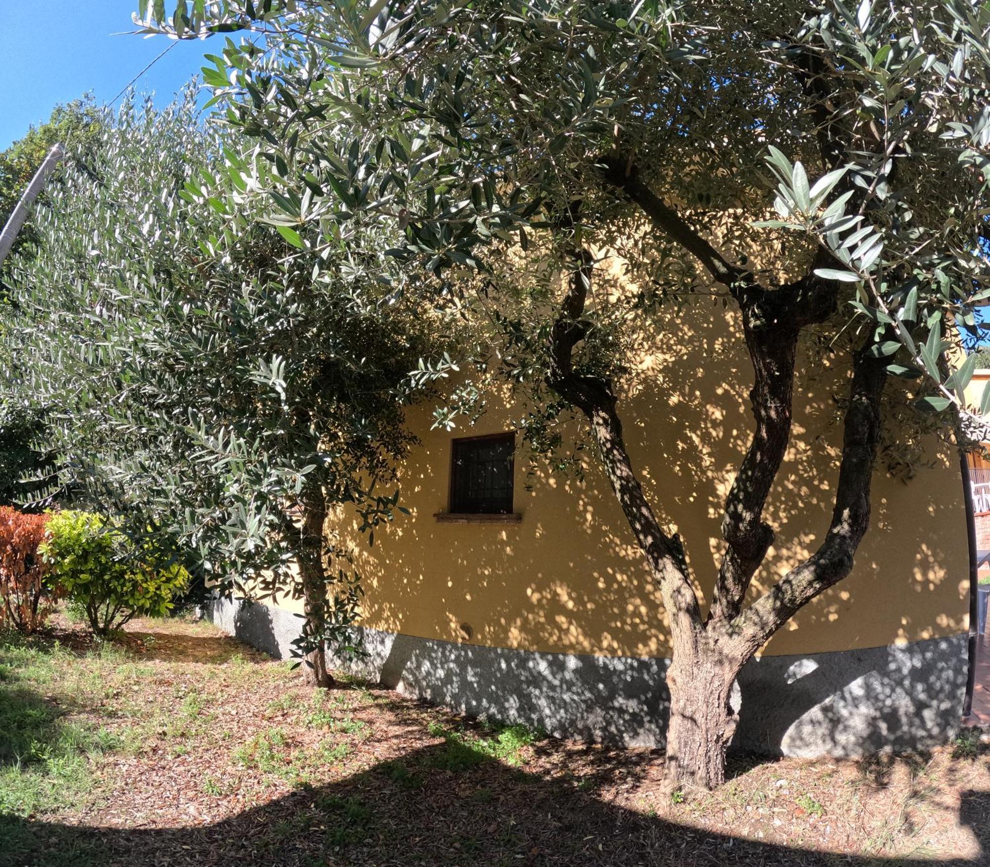 Agriturismo Gardenali Volta Mantovana Dış mekan fotoğraf