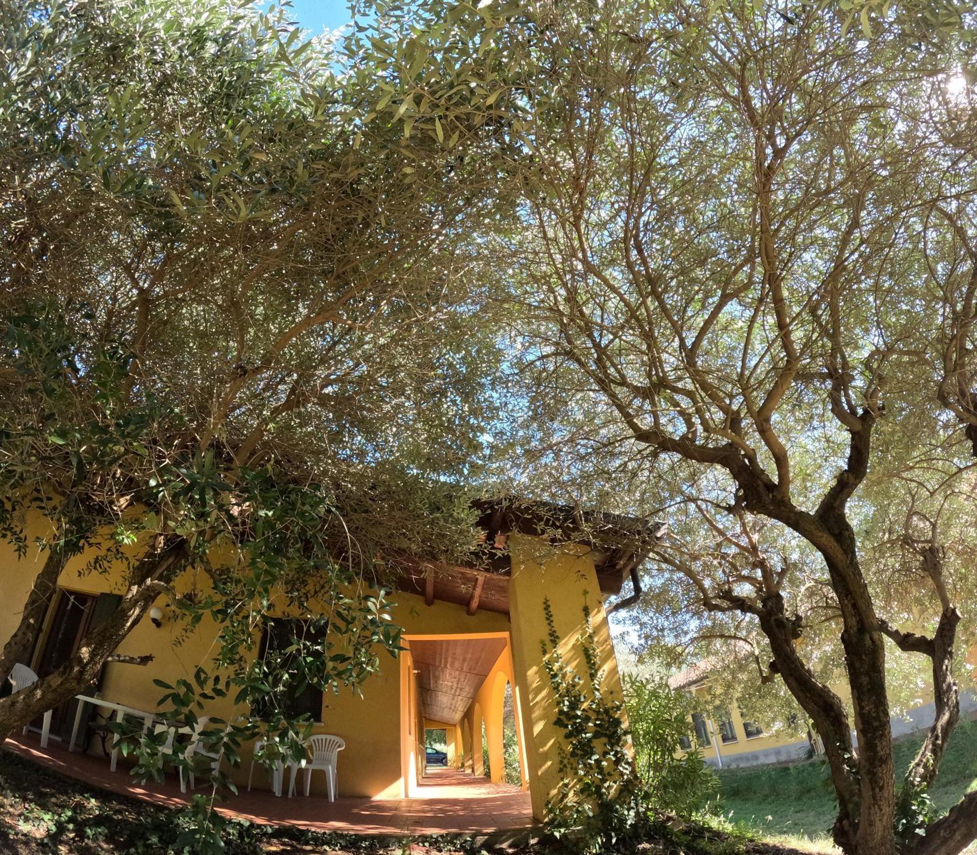 Agriturismo Gardenali Volta Mantovana Dış mekan fotoğraf