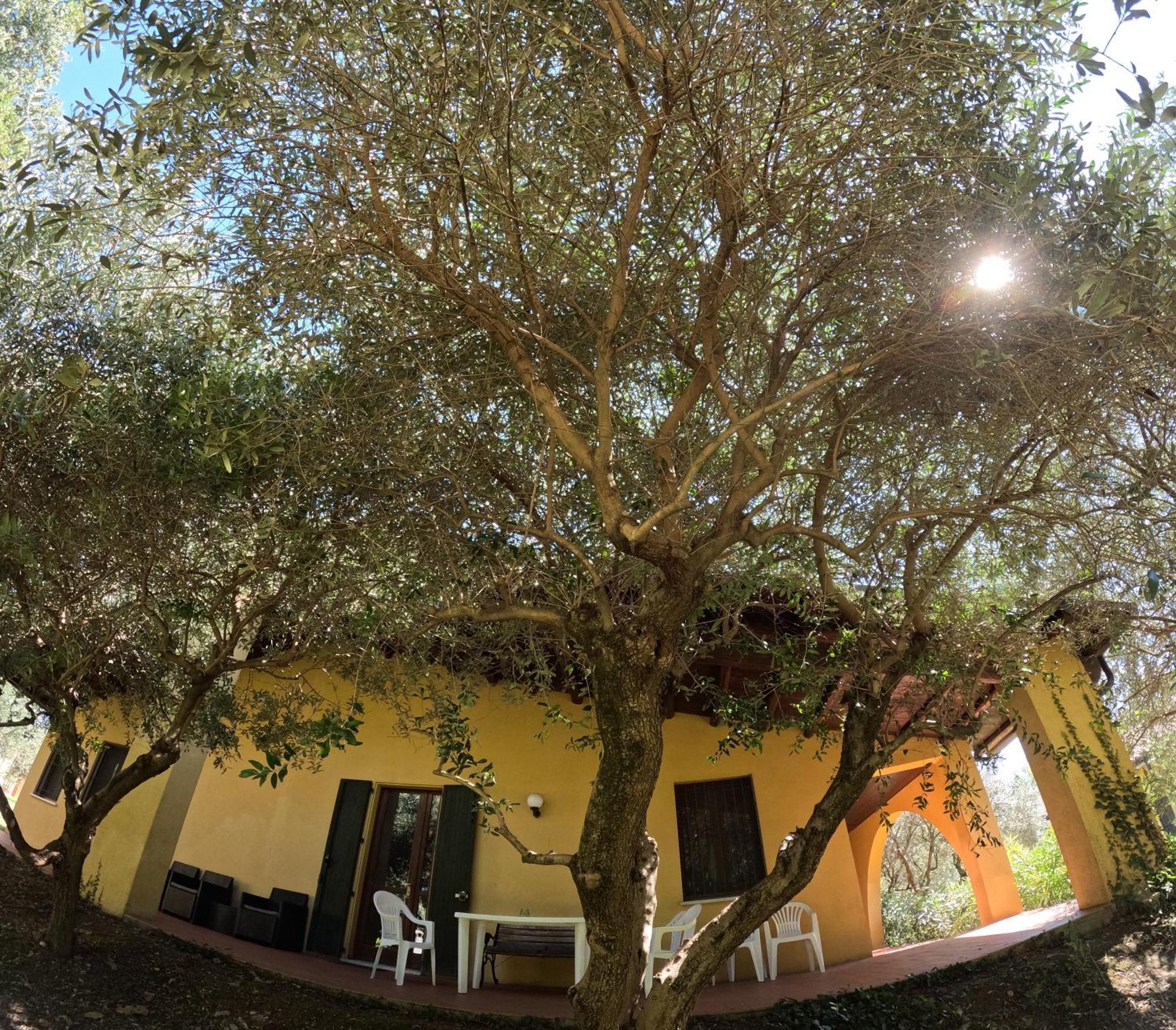Agriturismo Gardenali Volta Mantovana Oda fotoğraf