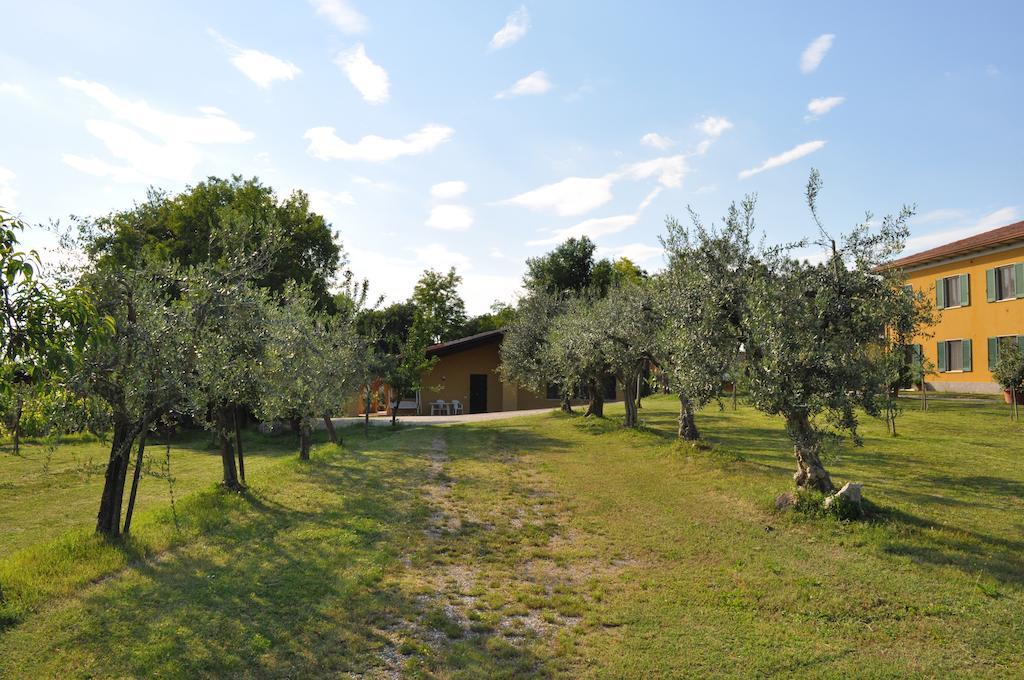 Agriturismo Gardenali Volta Mantovana Oda fotoğraf